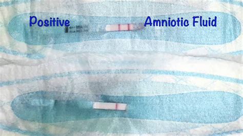 how do you know your leaking amniotic fluid|Leaking Amniotic Fluid: Signs, Causes, and。